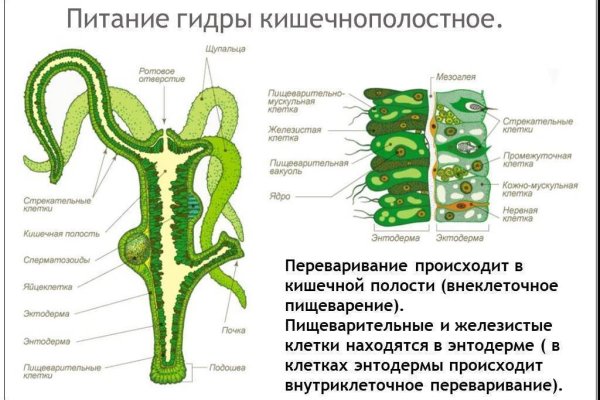 Кракен сайт krk market com