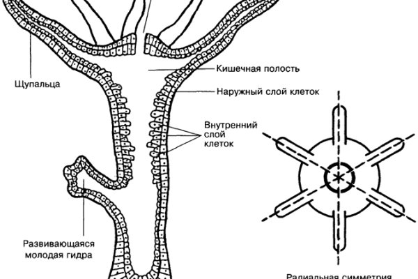 Сайт кракен kraken